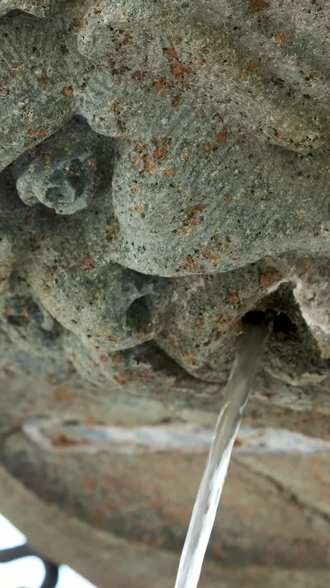 Silver alpine water flowing from stone gothic mask fountain in Shrine of Oropa, Vídeo Stock 320534435