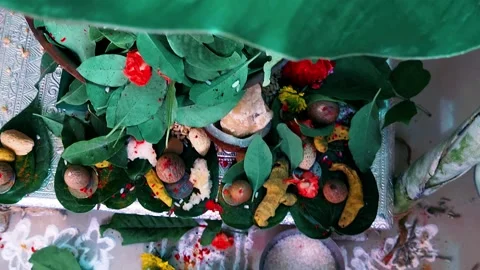 Silver altar table decorated with large fresh banana leaves, coconut halves fill Stock Footage 347361246