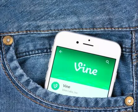 Silver apple iphone 6 displaying vine application Stock Photos