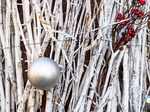 Silver ball on silver painted tree branches Stock Photos