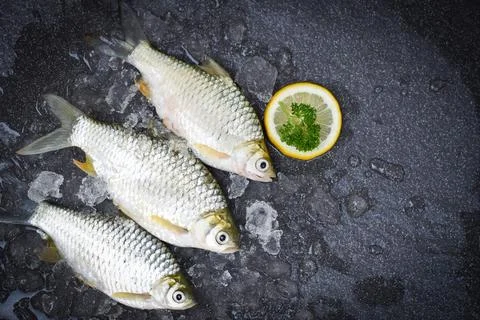 Silver Barb fish on ice,  Java Barb Carp Fish on market food with herb and sp Stock Photos
