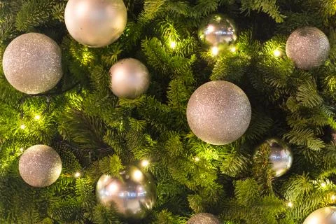 Silver baubles on pine tree Stock Photos