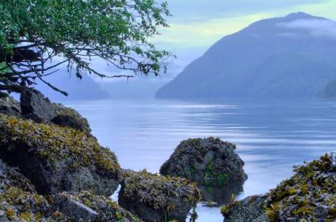 Silver bay Foto stock