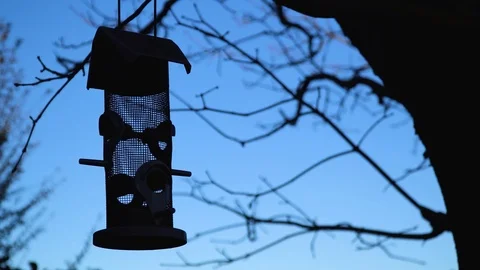 Silver bird feeder swings in the wind Stock Footage 89287747