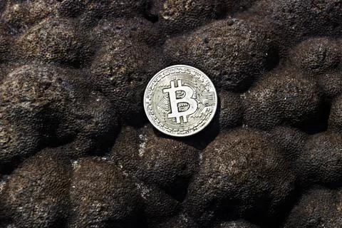Silver bitcoin on background of brown dead corals. Stock Photos