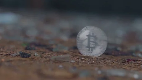 Silver bitcoin roll and rotate on a blurred background Видео 81931498