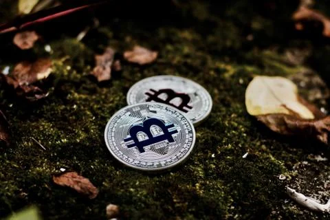 Silver bitcoins on grass Stock Photos