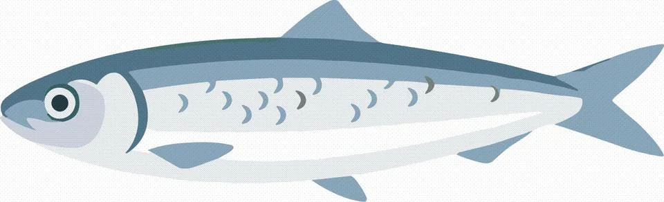 Silver Blue Freshwater Fish Vector Illustration Stock Illustration