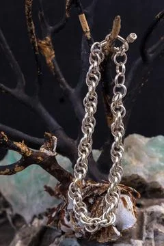 Silver bracelet Stock Photos