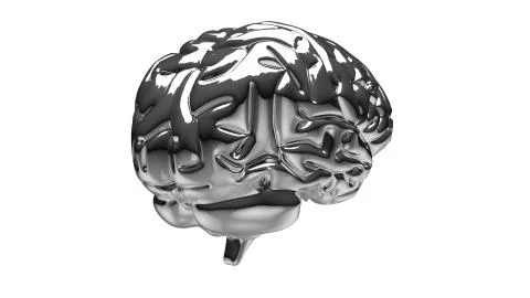 Silver brain Illustrazione stock