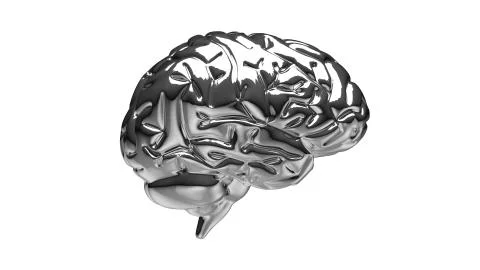 Silver brain Illustrazione stock