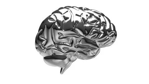 Silver brain illustration Illustrazione stock