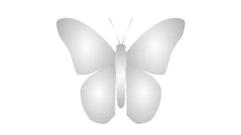 Silver butterfly 3 white Stock Footage 241402615