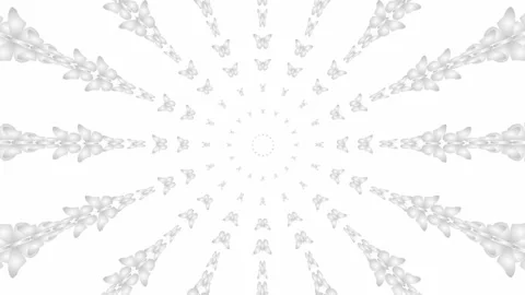 Silver butterfly circle background white Stock Footage 235549785
