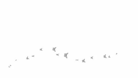 Silver butterfly wave white Stock Footage 205599455