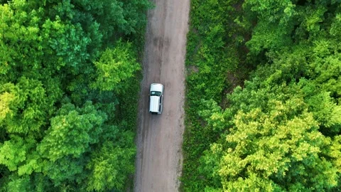 Silver car drives through a dense forest on a winding dirt road... Stock Footage 341894285