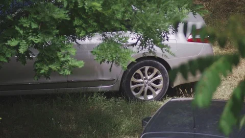 Silver car in the shade under a big green tree closeup Stock Footage 110836629