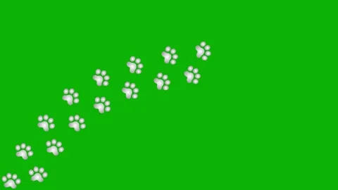 Silver cat tracks 2 green Stock Footage 249876086