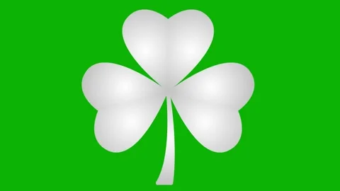 Silver clover green Video stock 250122778