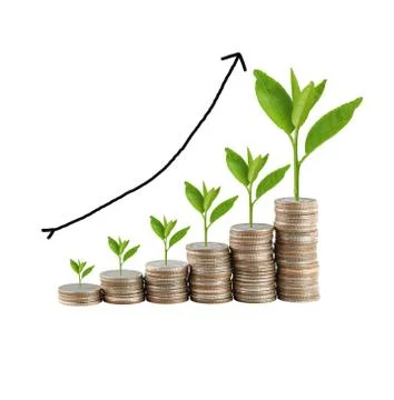 Silver coin stack and treetop in concept of business growth. 写真素材