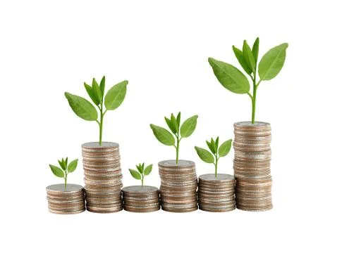 Silver coin stack and treetop in concept of growth. 스톡 사진