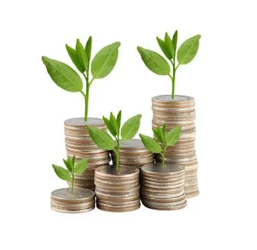Silver coin stack and treetop in concept of growth. 写真素材
