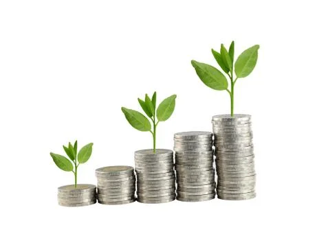 Silver coin stack and treetop in concept of growth. Stock Photos