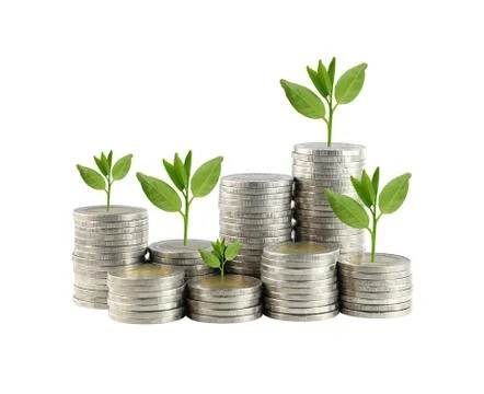 Silver coin stack and treetop in concept of growth. 写真素材