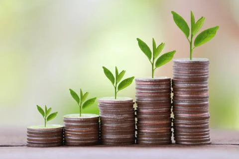 Silver coin stack and treetop in business growth concept on wood floor with c Foto stock