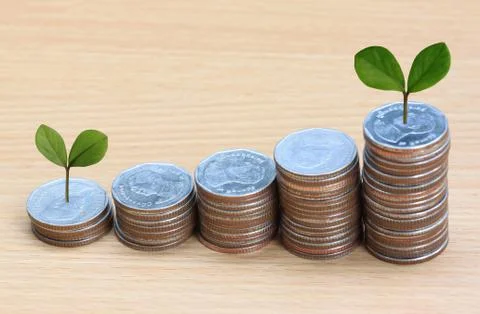 Silver coin stack and treetop. Stock Photos