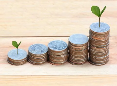 Silver coin stack and treetop. 写真素材