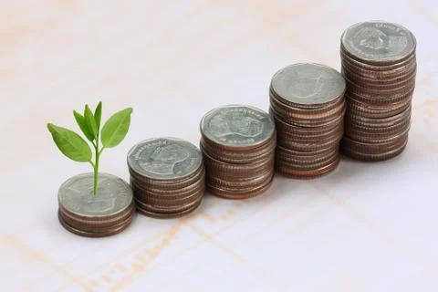 Silver coin stack and treetop. Foto stock