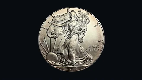 Silver coin us dollar 2014 obverse Stock Footage 225429597