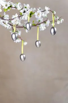 Silver Colored Easter eggs hanging on branch with white flowers Stock Photos