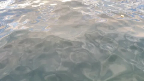Silver colored plastic bottle floating in the sea Stock Footage 297895629