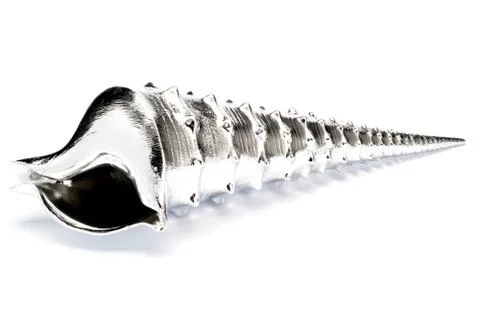 Silver Conical Shell Over a White Background Stock Photos