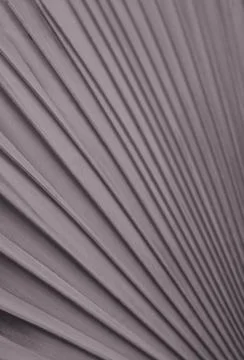 Silver, copper colored palm leaf pattern. Fan palm leaf with muted grey green. Stock Photos