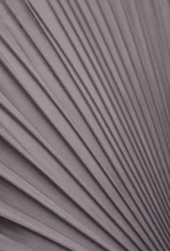 Silver, copper colored palm leaf pattern. Fan palm leaf with muted grey gre.. Stock Photos