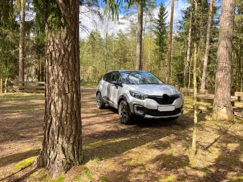 A silver crossover stands in the forest between the trees Stock Photos