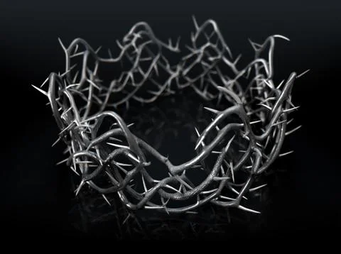 Silver Crown Of Thorns Stock Illustration