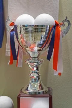 Silver cup trophy Stock Photos