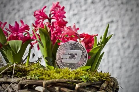 Silver dashcoin coin Stock Photos
