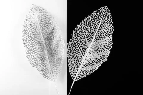 Silver decorative leaves Stock Photos