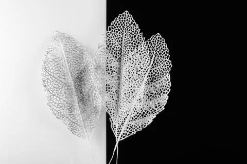 Silver decorative leaves Stock Photos