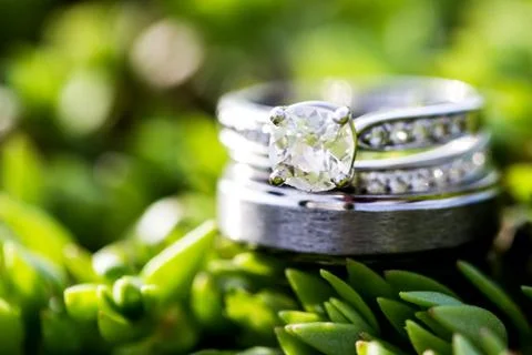 Silver, diamond wedding ring on a green plant background. 스톡 사진