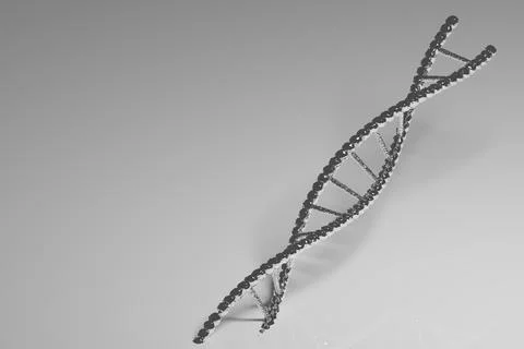 Silver  DNA molecule complex spiral structure on a greay background, medical, 스톡 일러스트