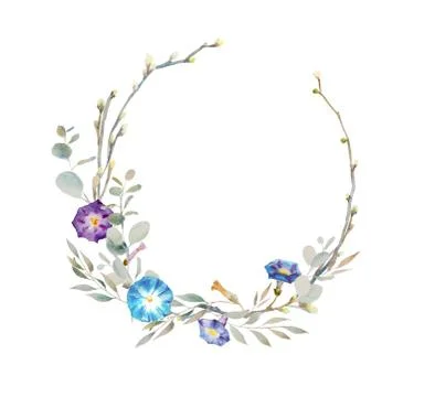 Silver dollar eucalyptus and convolvulus flowers selection branches watercolo Stock Illustration