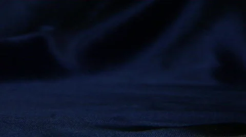 Silver dollar pan left Stock Footage 114620