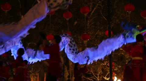 Silver Dragon on Strage Stock Footage 10868602