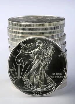 Silver Eagle. Stock Photos